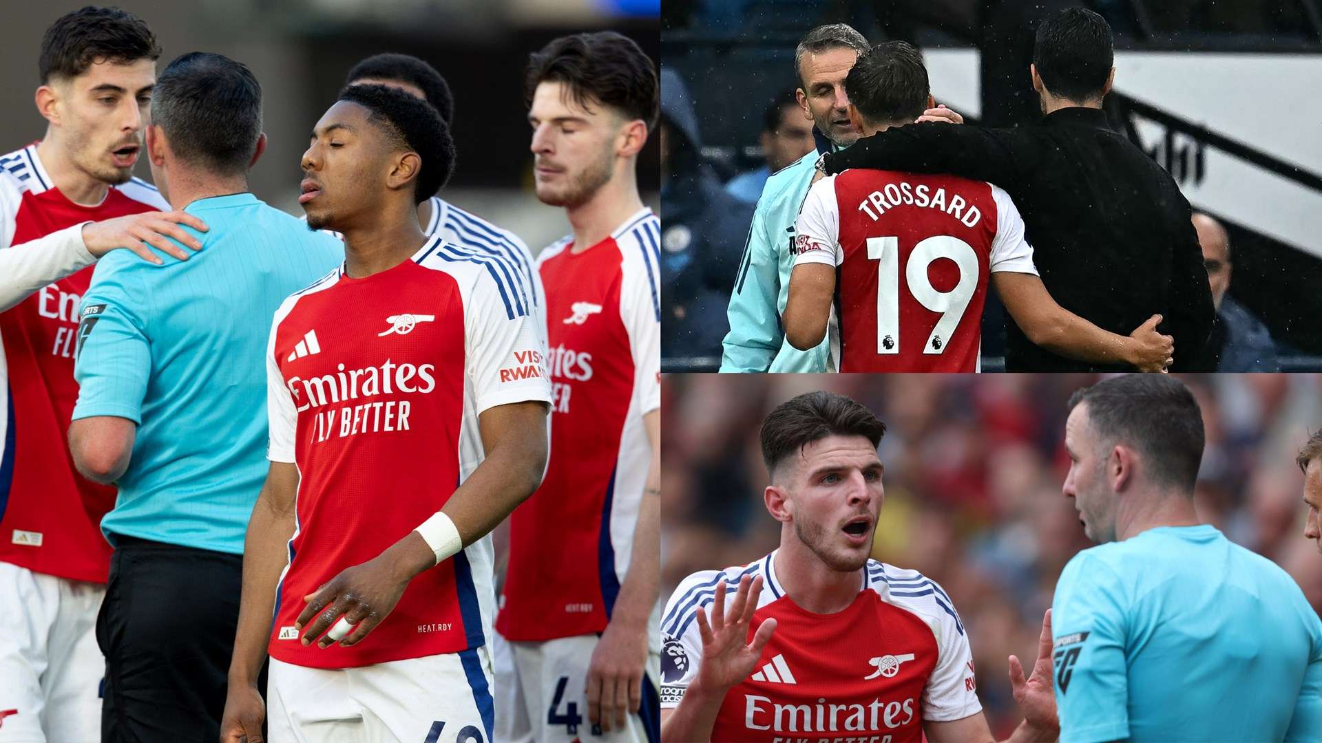 生涯的发展 生涯的发展